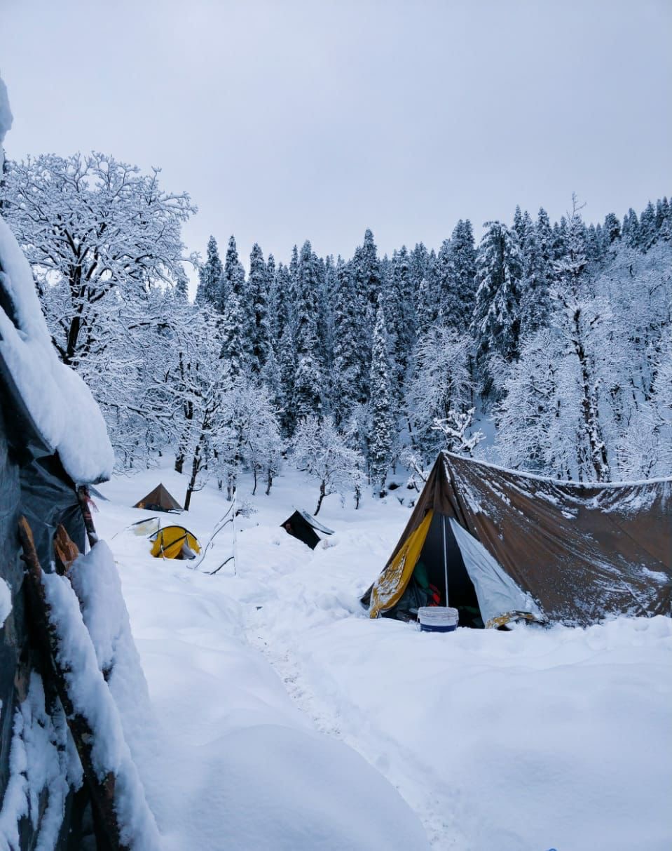 snowfall at kedarkantha in december when kedarkantha trail gets covered in snow
