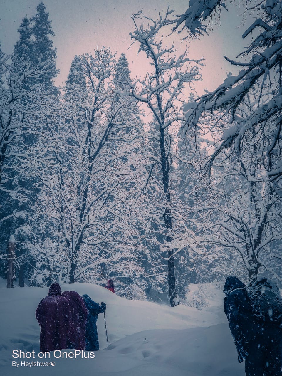 Kedarkantha trail fully covered in a blanket of snow , visuals by expert team Dream Trips